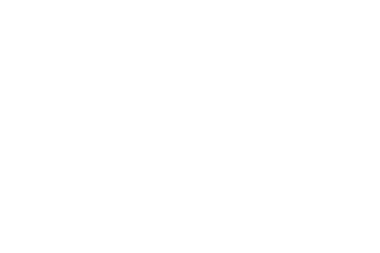 Belgian Tax Shelter